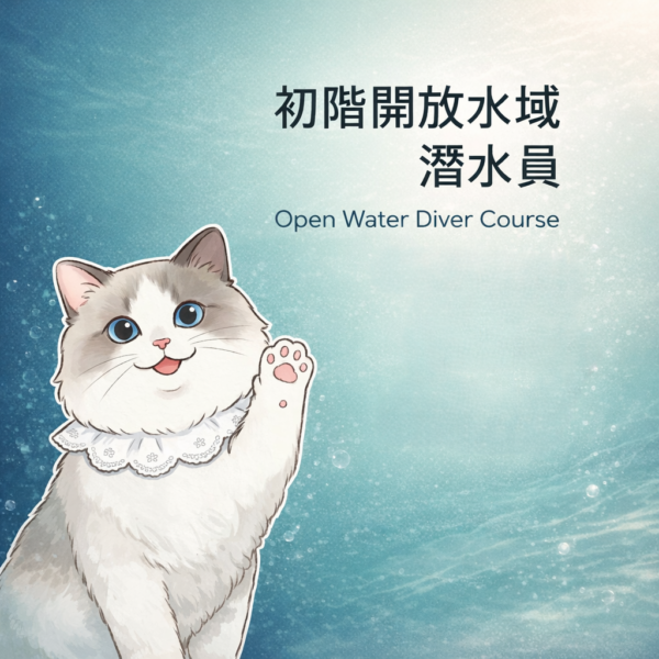 初階開放水域潛水員Open Water Diver (OW)